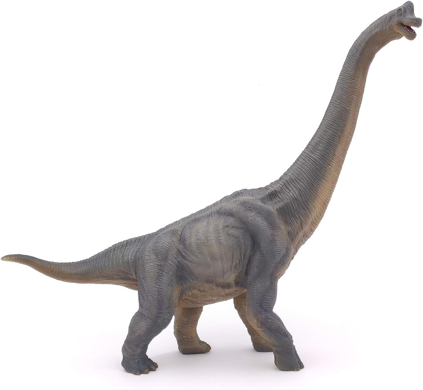 Figurina - Dinosaurs - Brachiosaurus | Papo - 1 | YEO