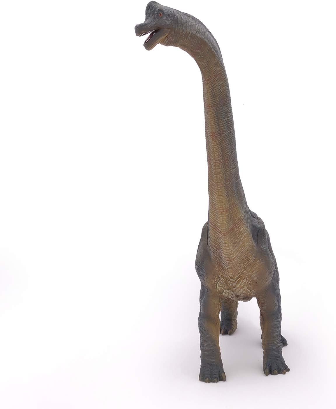 Figurina - Dinosaurs - Brachiosaurus | Papo - 2 | YEO