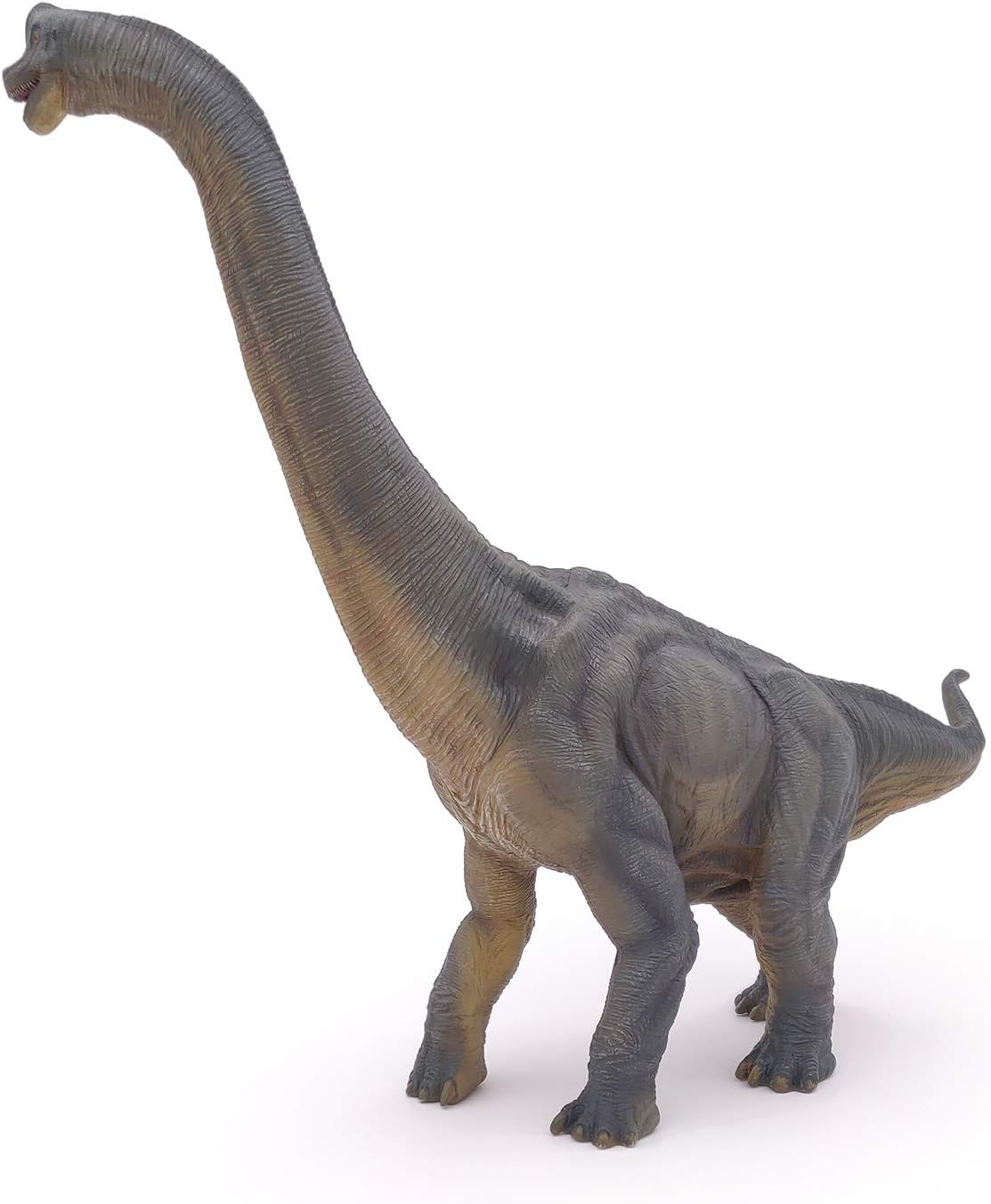 Figurina - Dinosaurs - Brachiosaurus | Papo - 3 | YEO