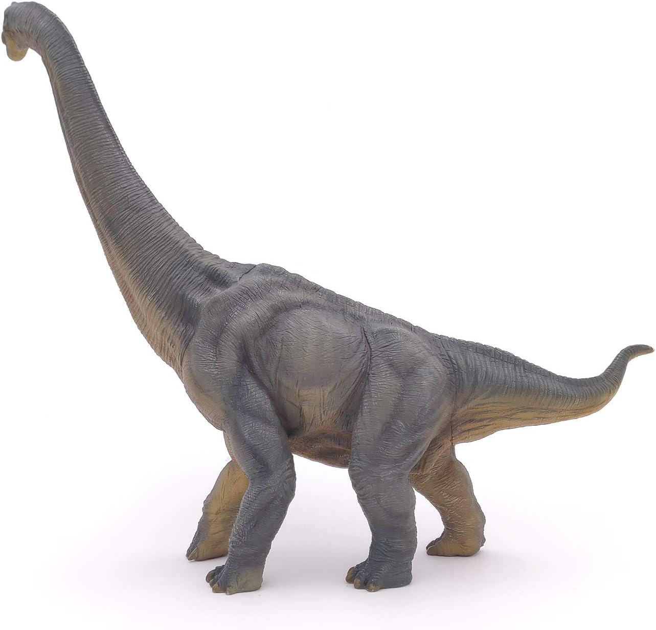 Figurina - Dinosaurs - Brachiosaurus | Papo - 4 | YEO