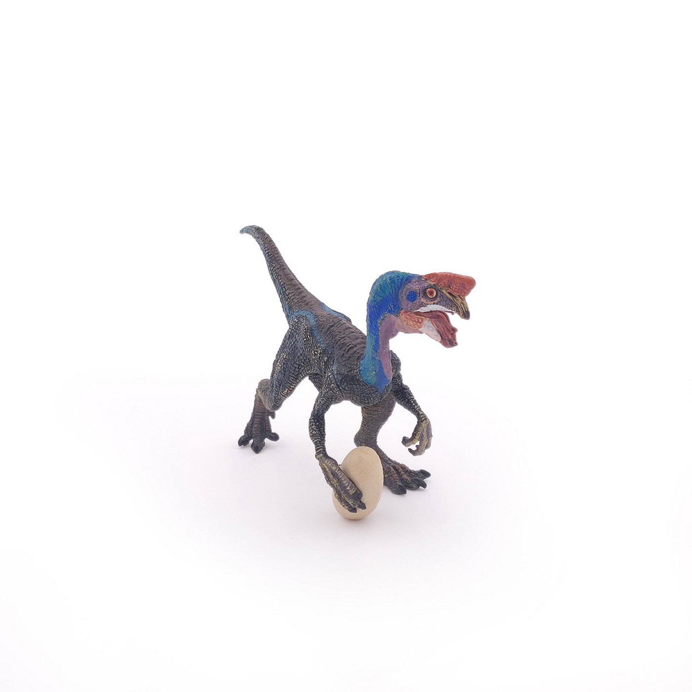 Figurina - Dinosaurs - Blue Oviraptor | Papo - 3 | YEO