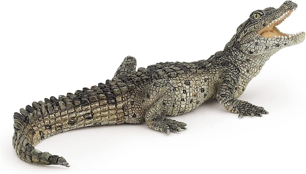 Figurina - Wild Animal Kingdom - Baby Crocodile | Papo