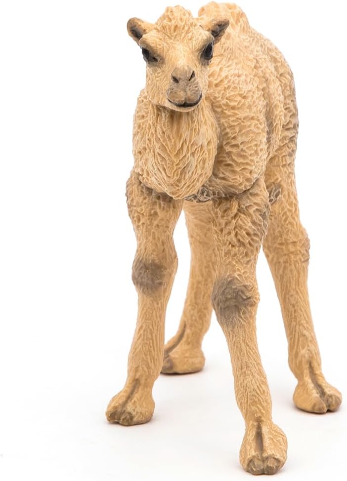 Figurina - Wild Animal Kingdom - Camel Calf | Papo - 1 | YEO