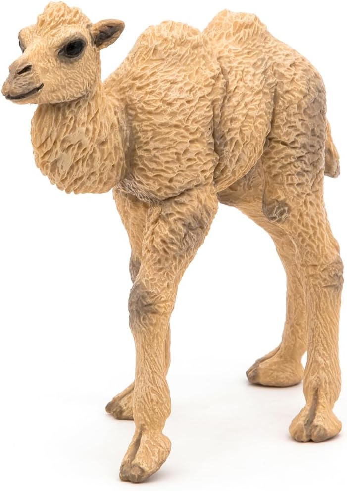 Figurina - Wild Animal Kingdom - Camel Calf | Papo - 2 | YEO