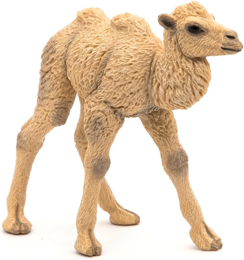 Figurina - Wild Animal Kingdom - Camel Calf | Papo - 4 | YEO