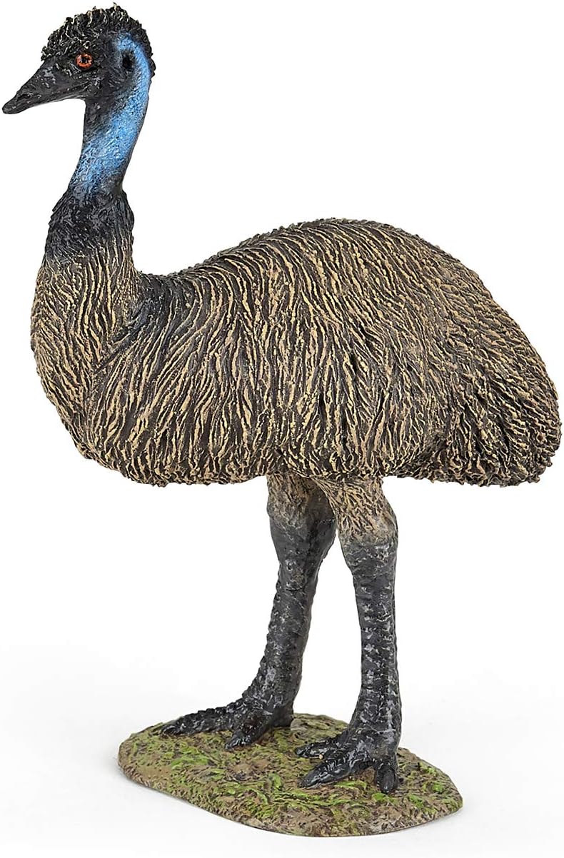 Figurina - Wild Animal Kingdom - Emu | Papo - 5 | YEO