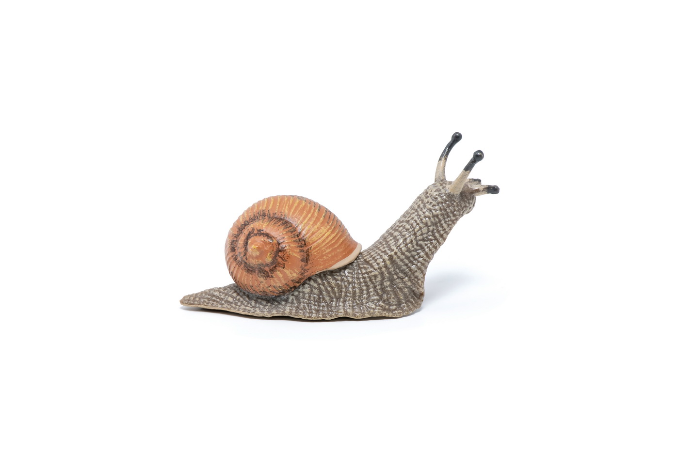 Figurina - Wild Animal Kingdom - Snail | Papo - 2 | YEO