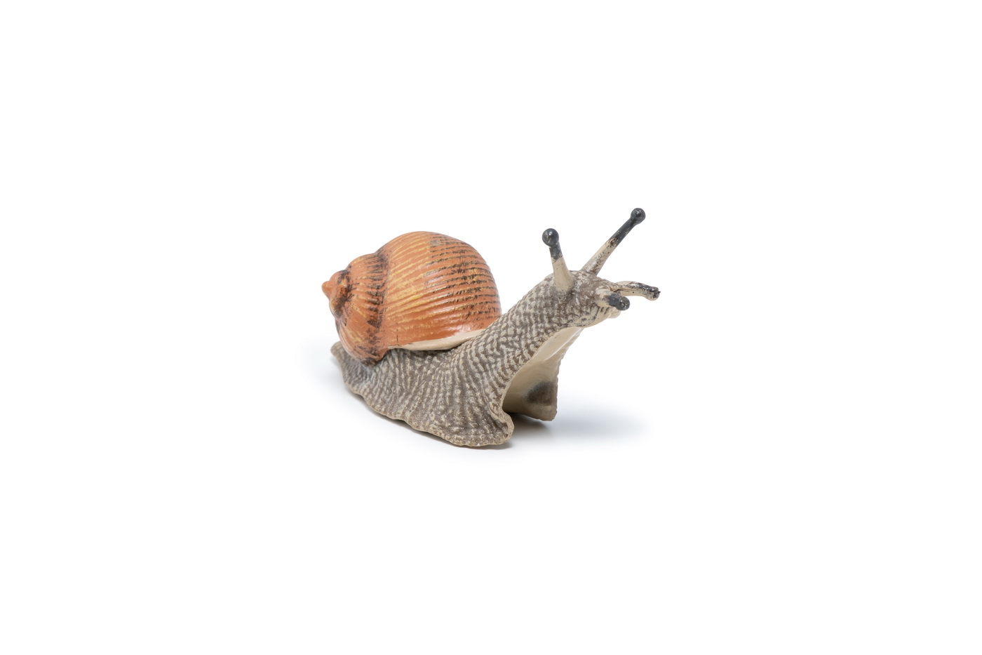 Figurina - Wild Animal Kingdom - Snail | Papo - 3 | YEO