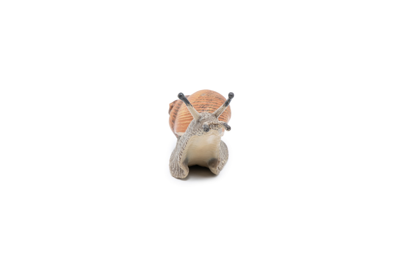 Figurina - Wild Animal Kingdom - Snail | Papo - 4 | YEO