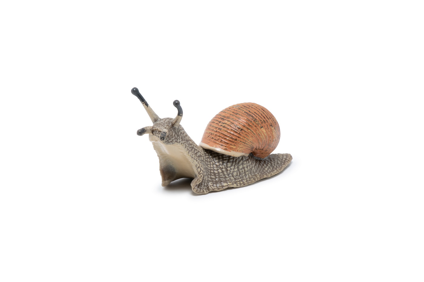 Figurina - Wild Animal Kingdom - Snail | Papo - 5 | YEO