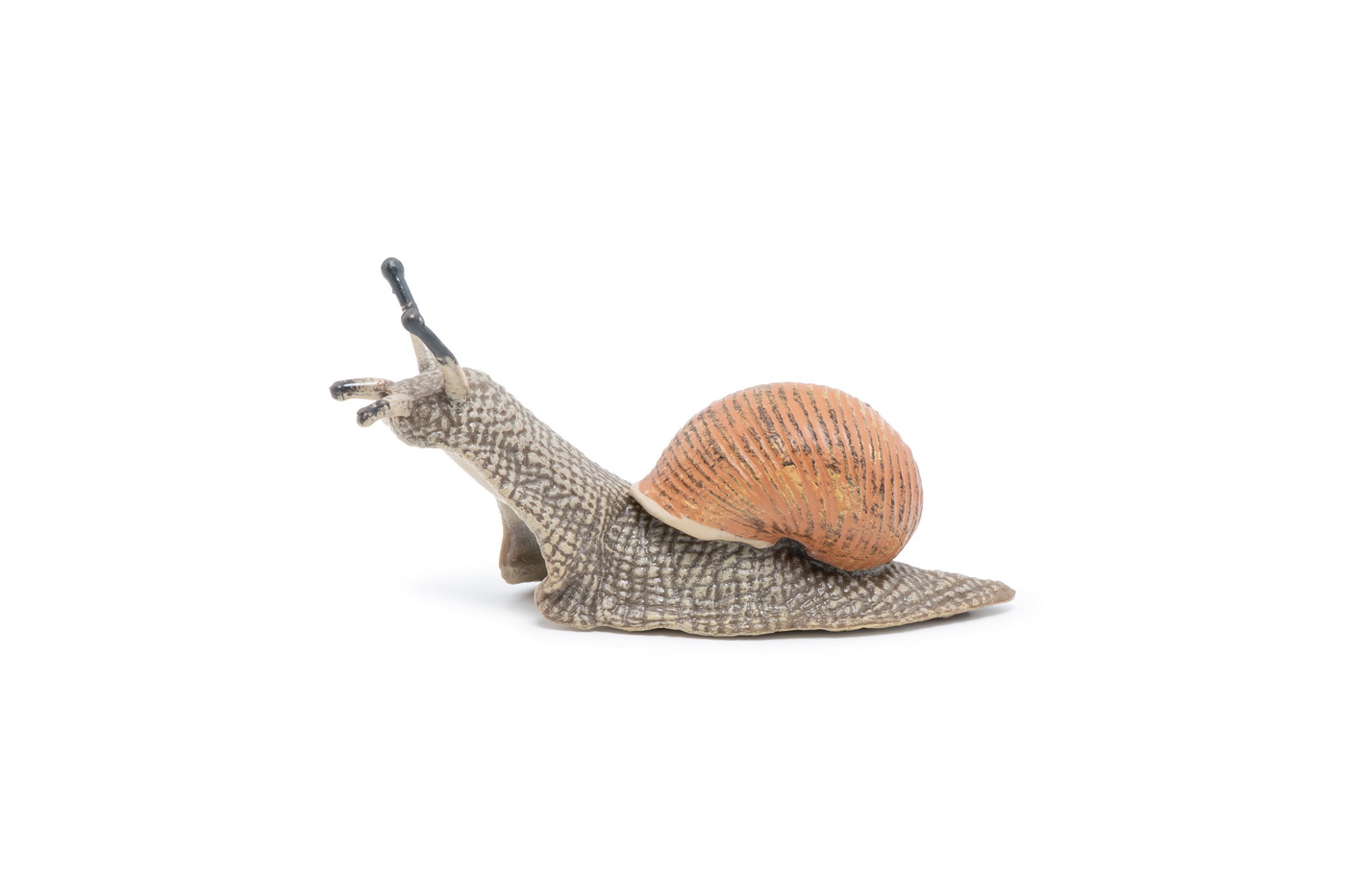 Figurina - Wild Animal Kingdom - Snail | Papo - 6 | YEO