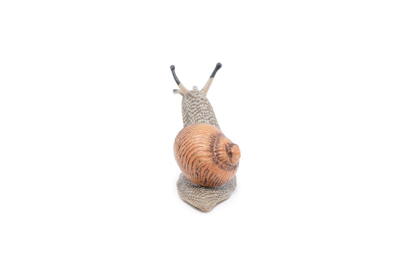 Figurina - Wild Animal Kingdom - Snail | Papo - 7 | YEO