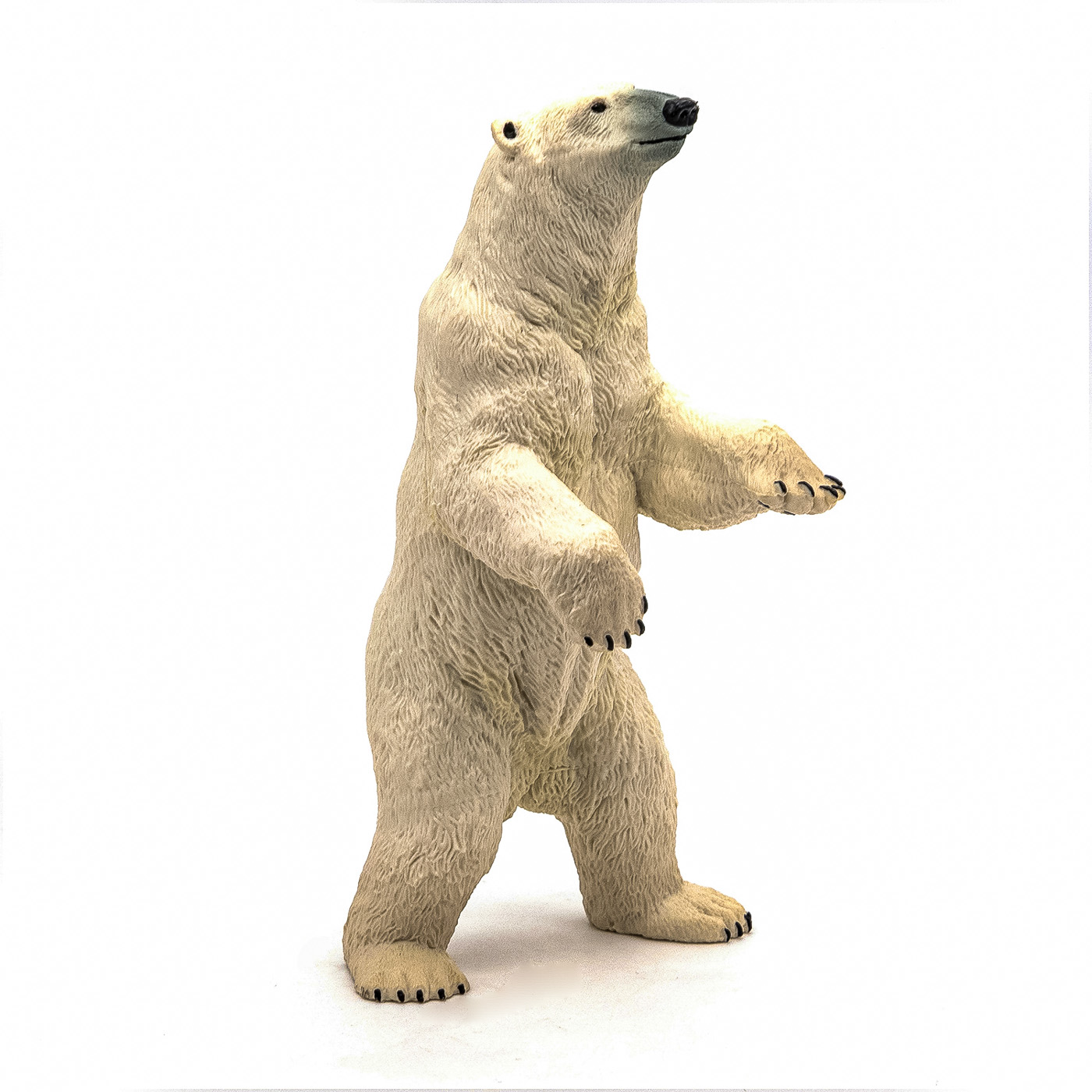 Figurina - Wild Animal Kingdom - Standing Polar Bear | Papo - 1 | YEO