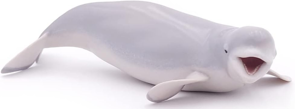 Figurina - Marine Life - Beluga Whale | Papo - 5 | YEO