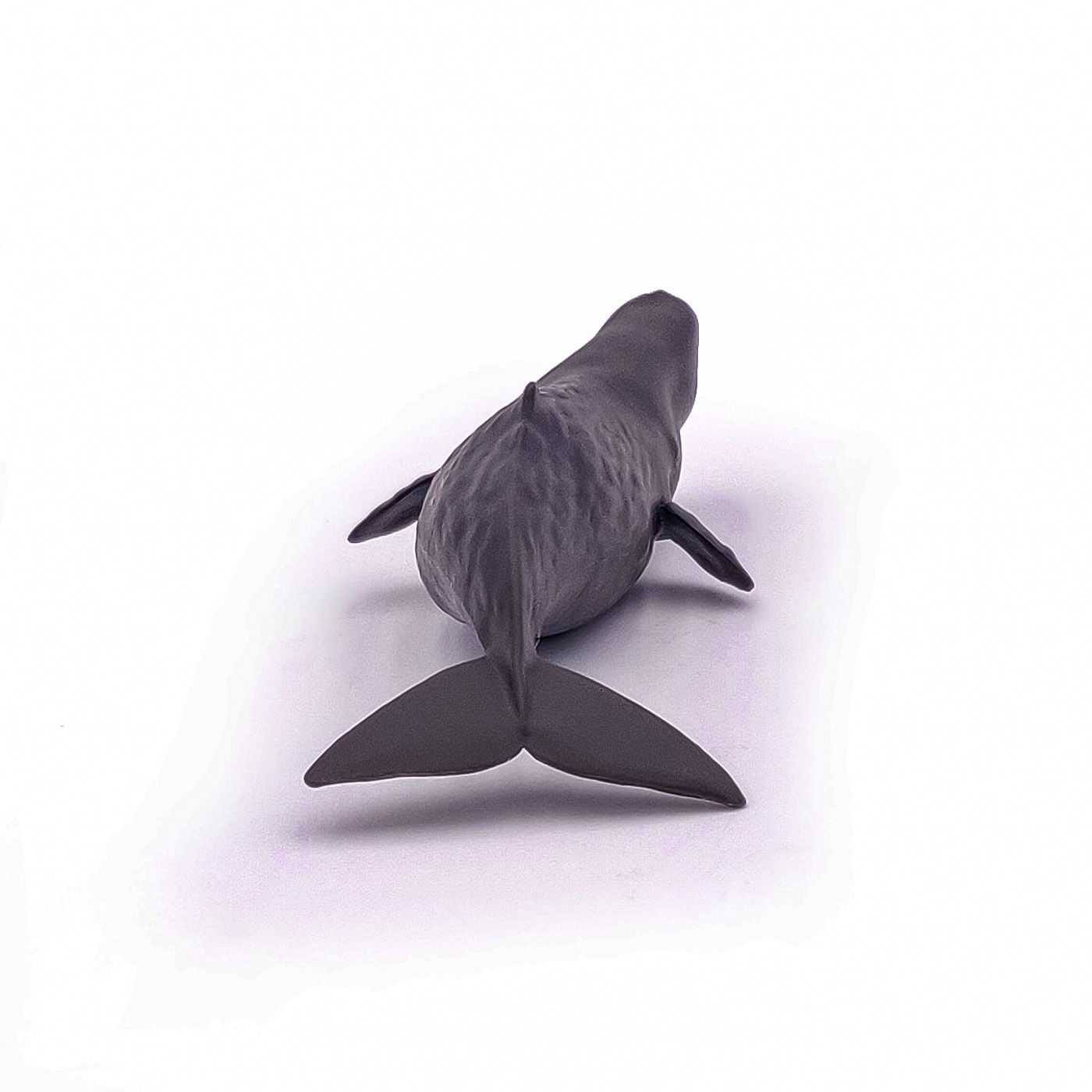 Figurina - Marine Life - Sperm Whale Calf | Papo - 4 | YEO