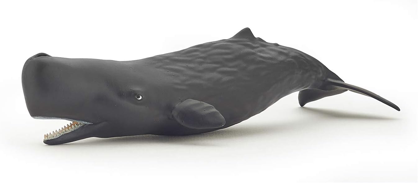 Figurina - Marine Life - Sperm Whale Calf | Papo - 5 | YEO