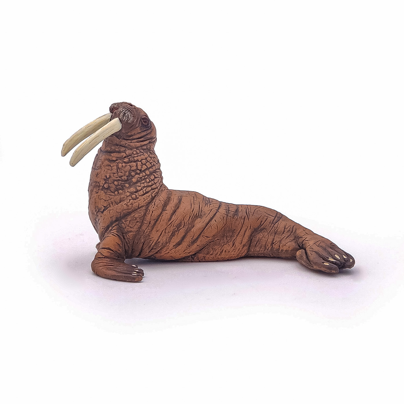 Figurina - Marine Life - Walrus | Papo