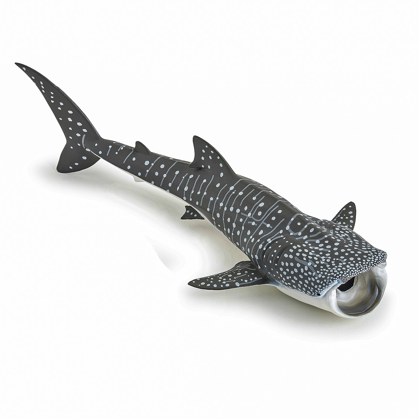 Figurina - Marine Life - Whale Shark | Papo image20