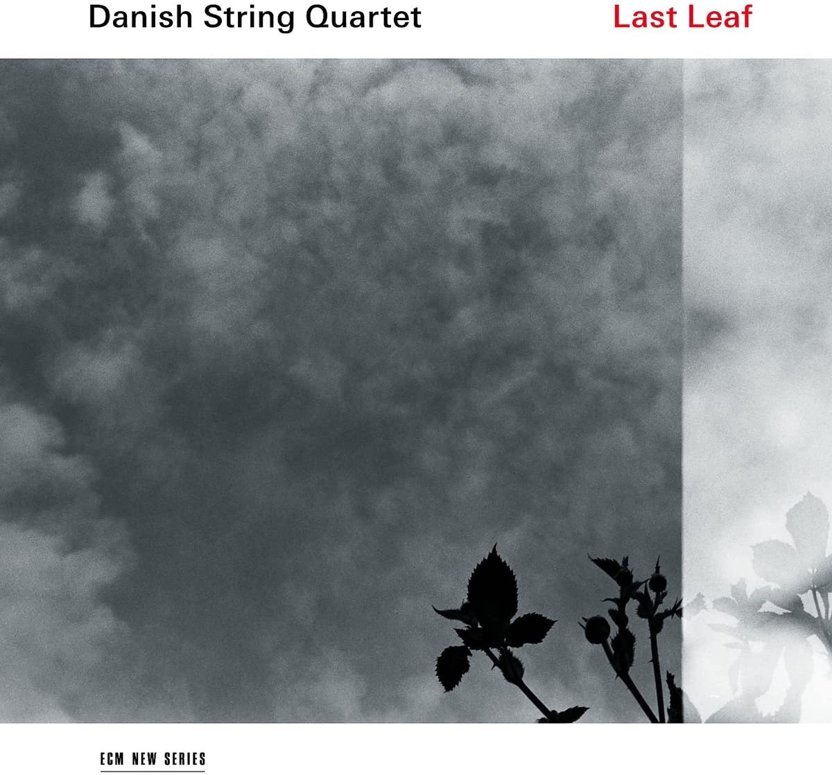 Last Leaf - Vinyl | Danish String Quartet