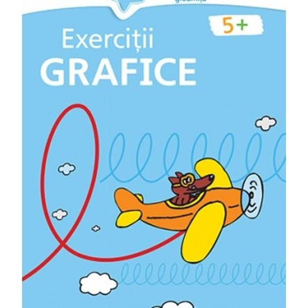 Exercitii grafice – Albastru | Birgit Fuchs carturesti.ro