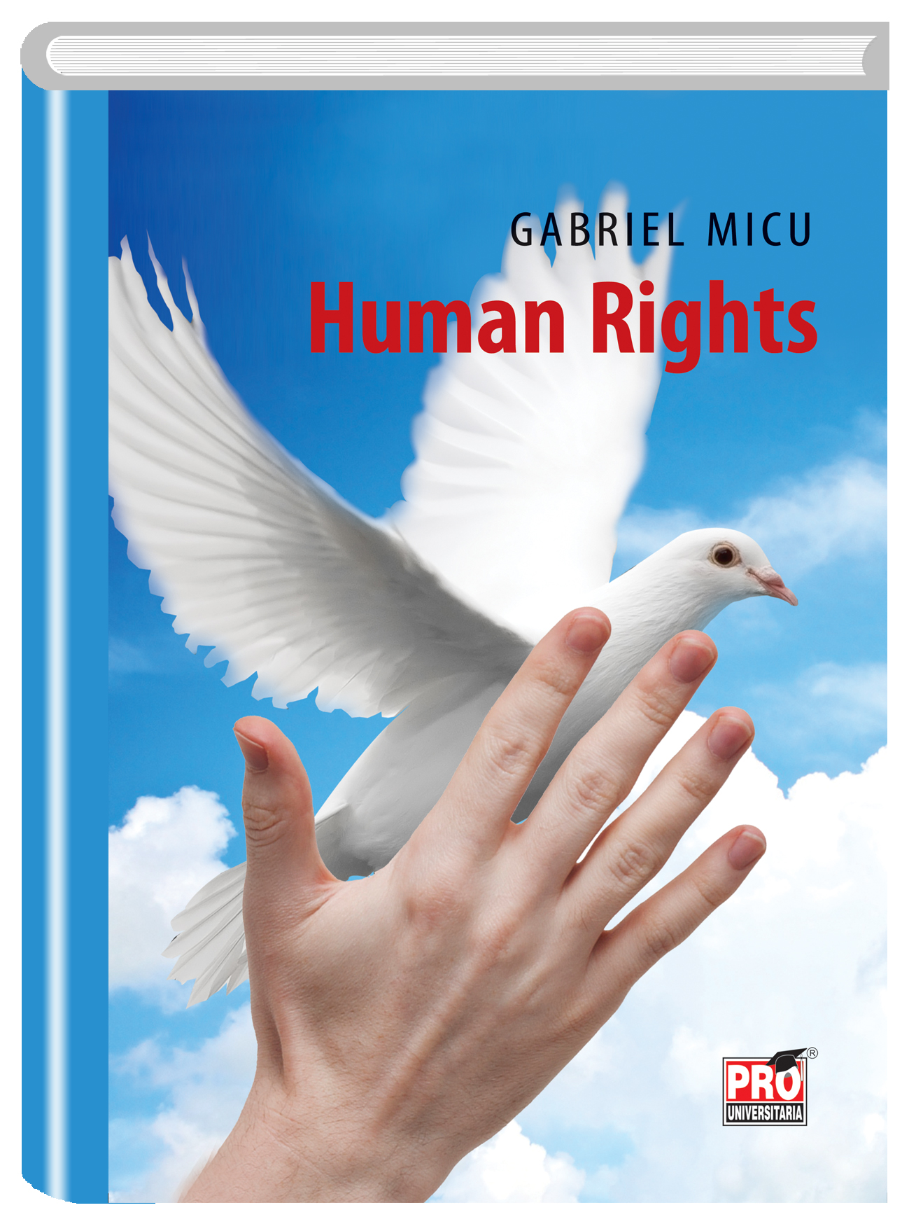 Human Rights | Gabriel Micu