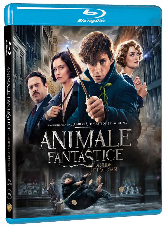 Animale Fantastice si unde le poti gasi (Blu Ray Disc) / Fantastic Beast and Where to Find Them | David Yates