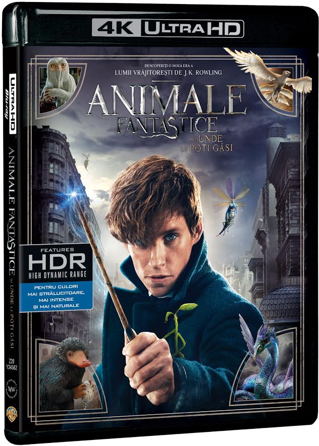 Animale Fantastice si unde le poti gasi 4K UltraHD (Blu Ray Disc) / Fantastic Beast and Wthere to Find Them | David Yates image0