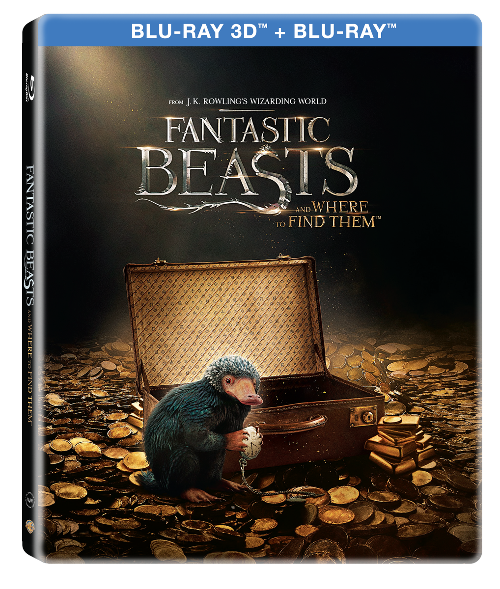 Animale Fantastice si unde le poti gasi 3D (Blu Ray Disc) Steelbook / Fantastic Beast and Where to Find Them | David Yates