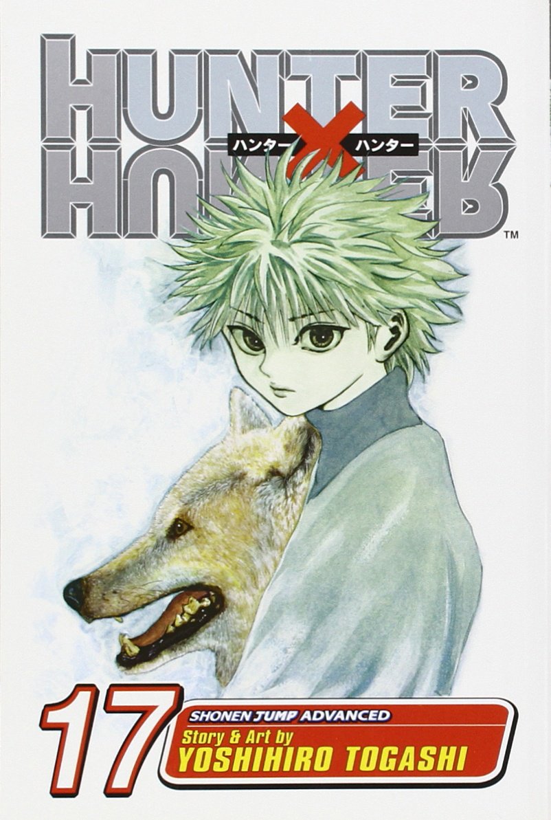 Hunter X Hunter Vol. 17 | Yoshihiro Togashi