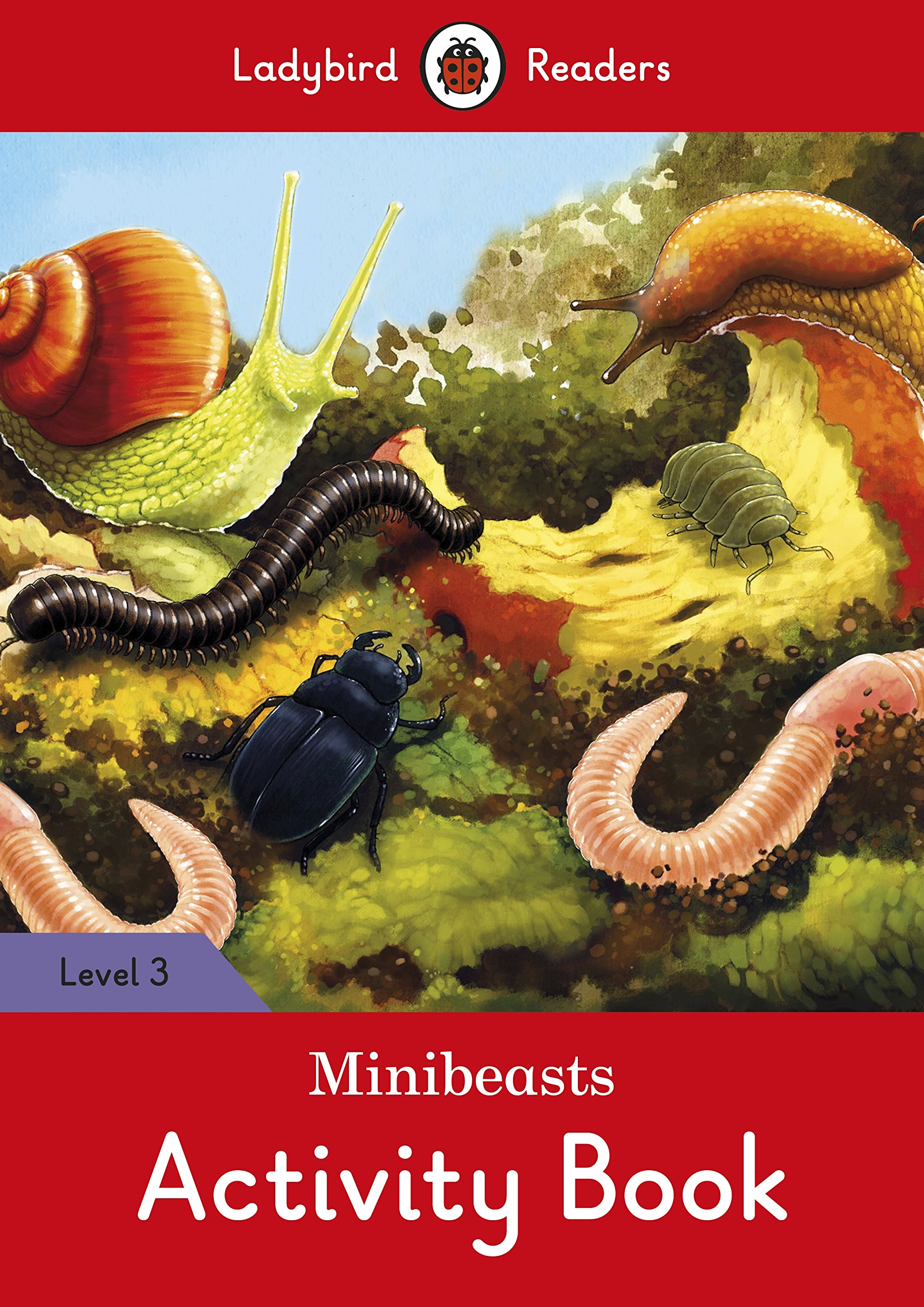 Minibeasts Activity Book |