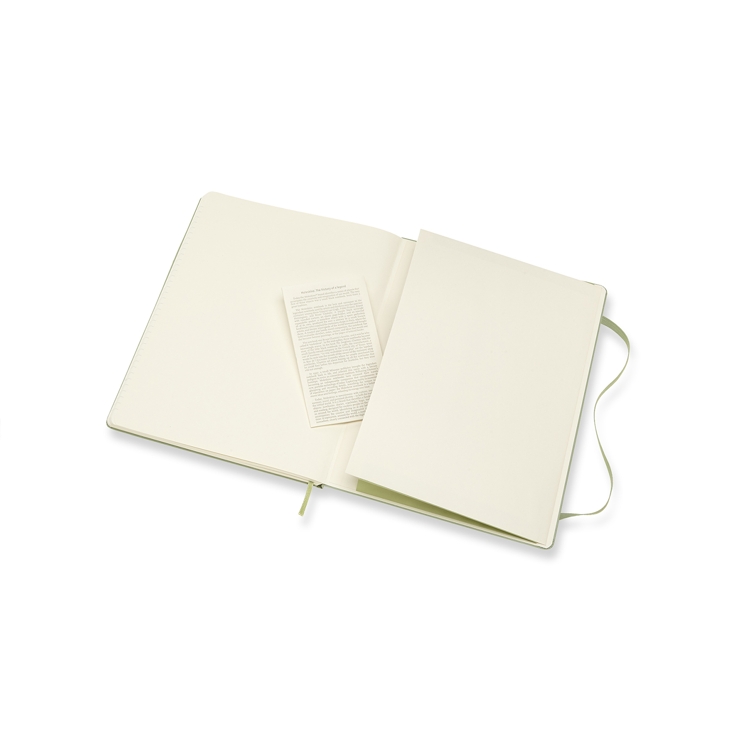 Carnet Moleskine - Willow Green Extra Large Ruled Notebook Hard | Moleskine