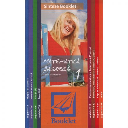 Sinteze Booklet S 1 Algebra