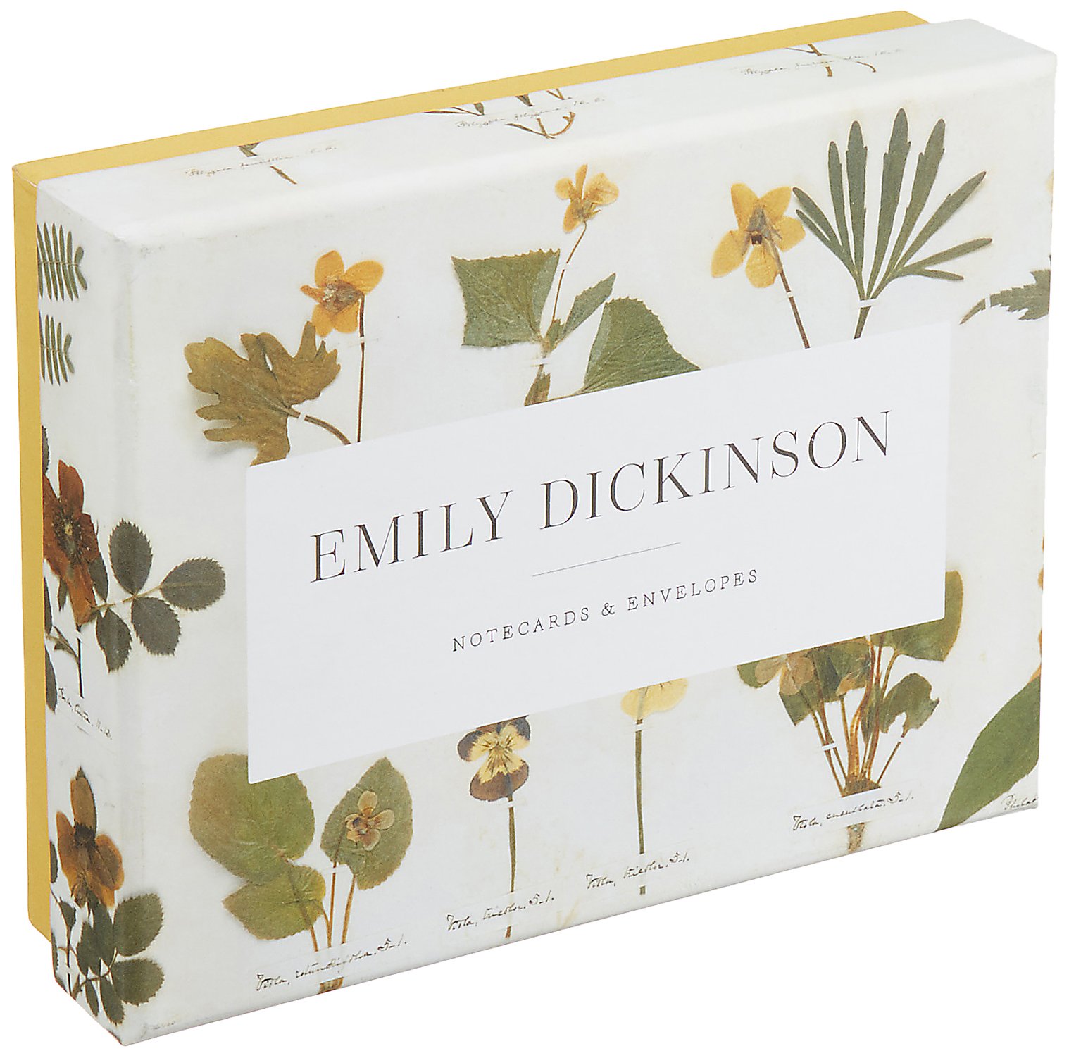 Carti postale cu plic-Emily Dickinson | Princeton Architectural Press