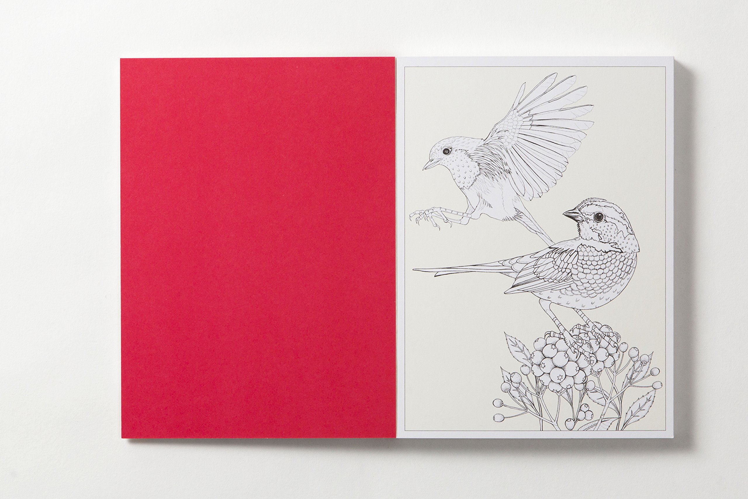 Carte postala de colorat - Birdtopia - mai multe modele | Littlehampton Book