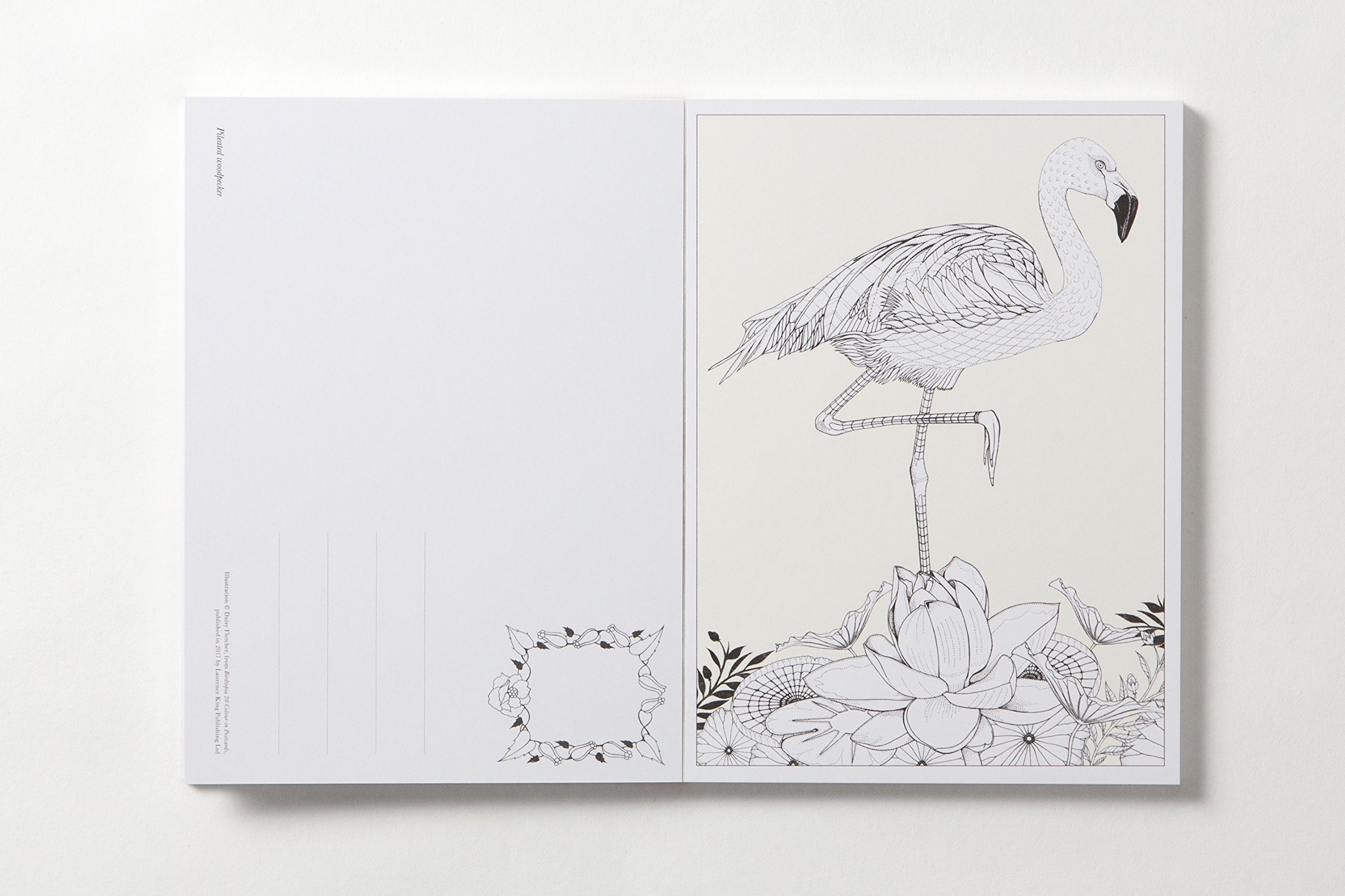 Carte postala de colorat - Birdtopia - mai multe modele | Littlehampton Book - 2 | YEO