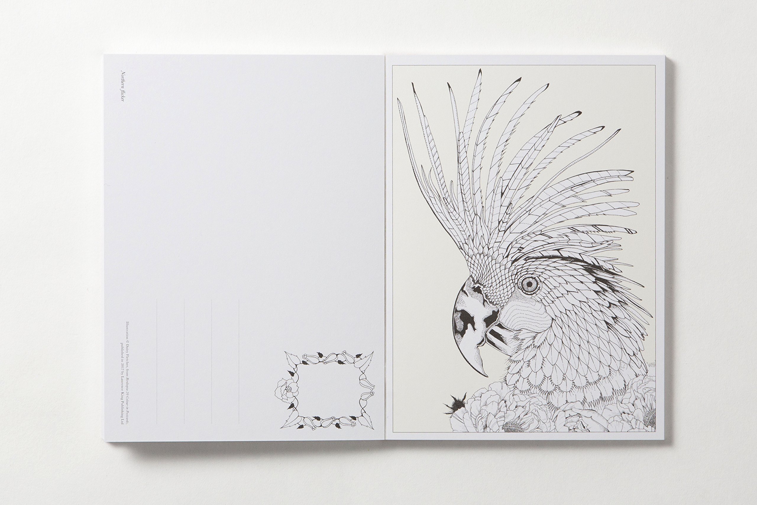 Carte postala de colorat - Birdtopia - mai multe modele | Littlehampton Book - 3 | YEO