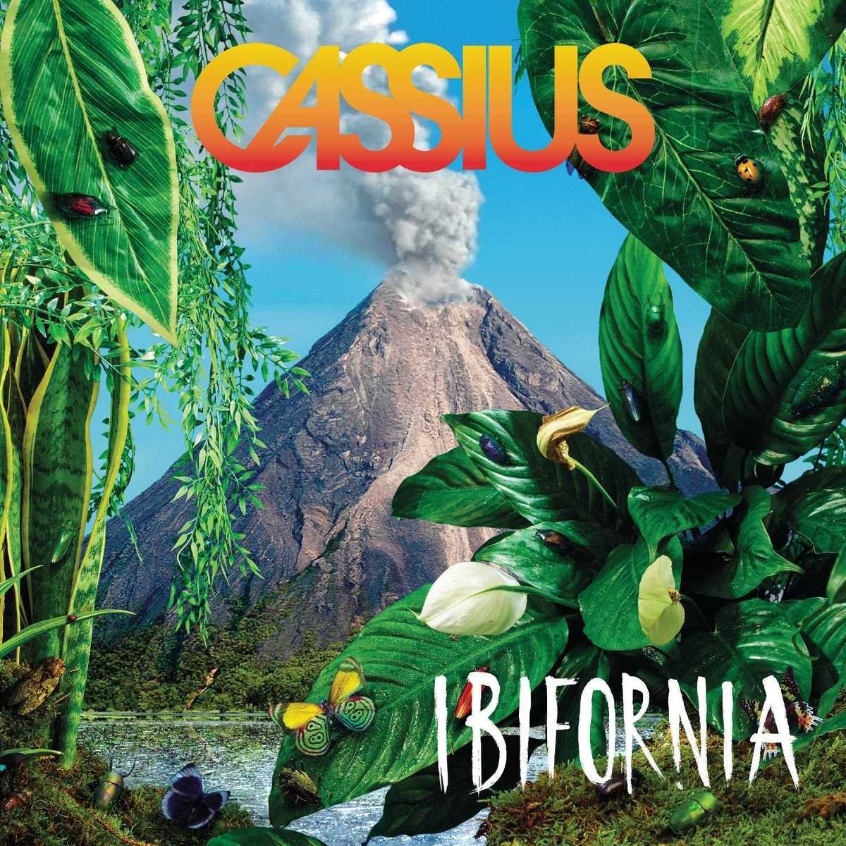 Ibifornia | Cassius