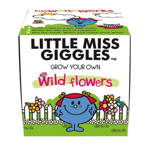 Kit pentru plante - Little Miss Giggles - Grow your own wild flowers | Gift Republic