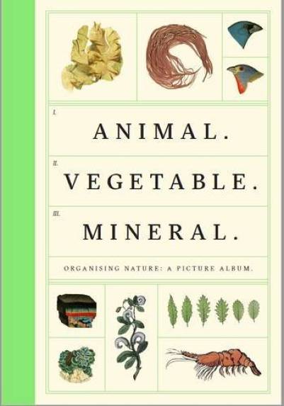 Animal. Vegetable. Mineral. | Wellcome Collection, Tim Dee