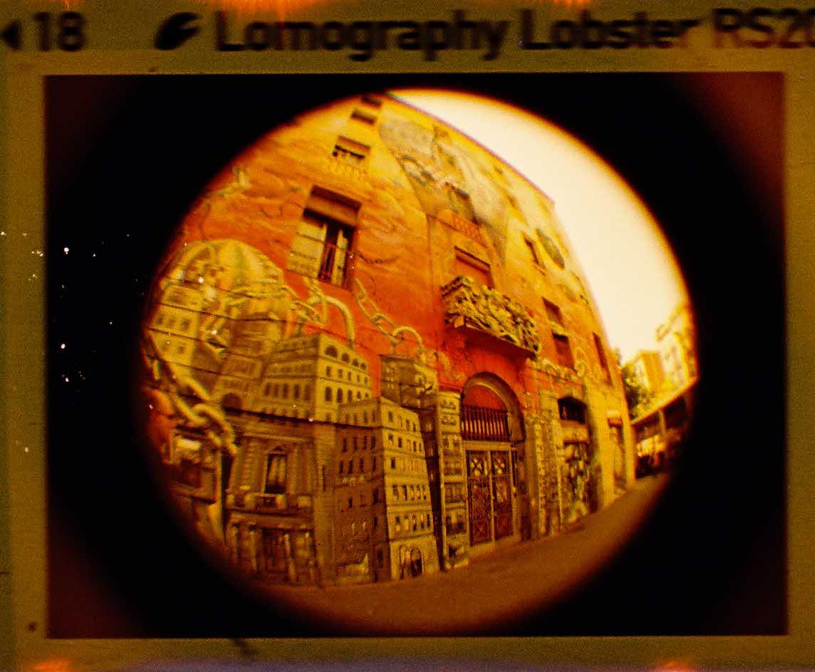 Film foto - Lobster Redscale 110 | Lomography - 6 | YEO