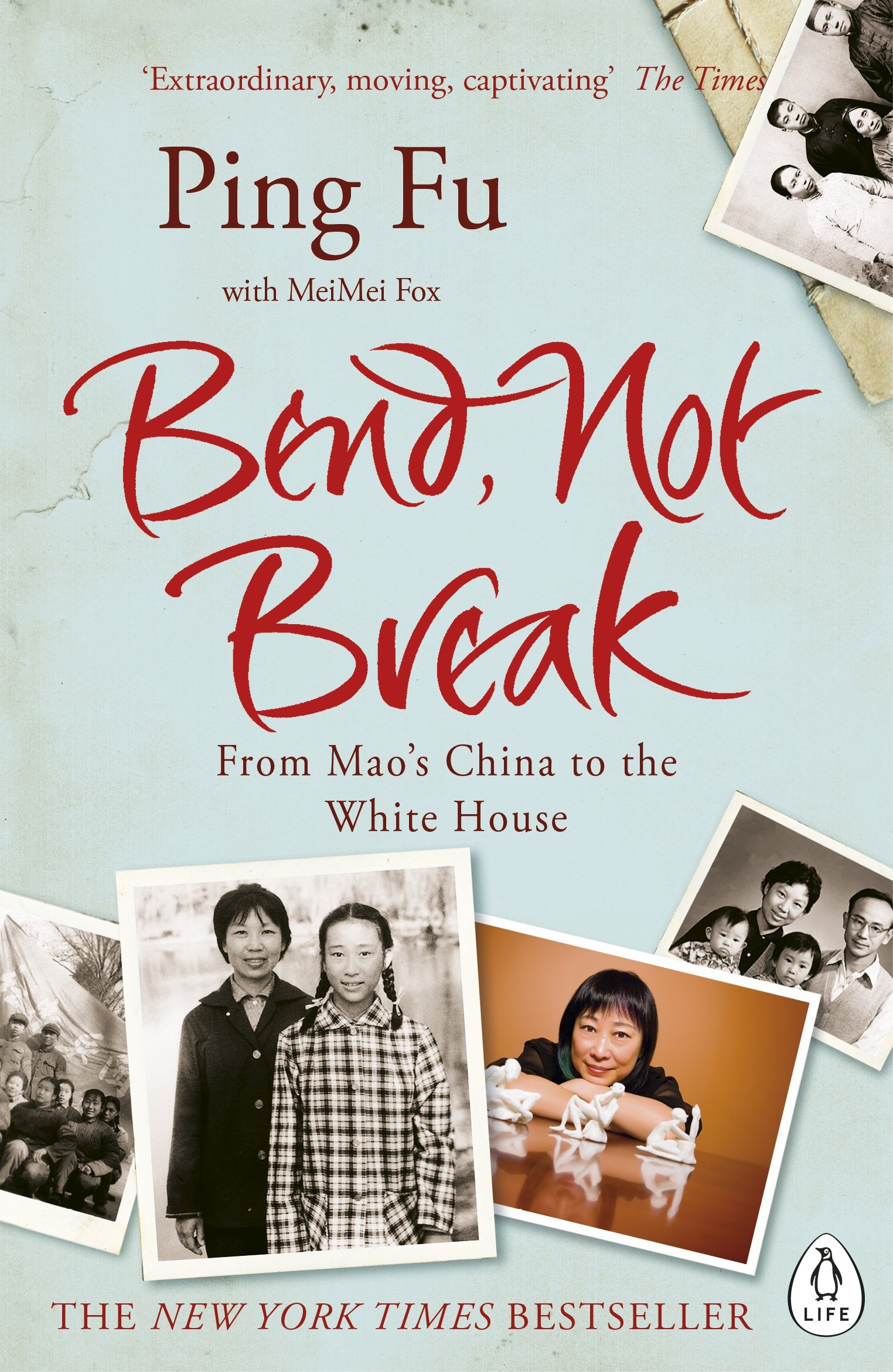 Bend, Not Break | Ping Fu