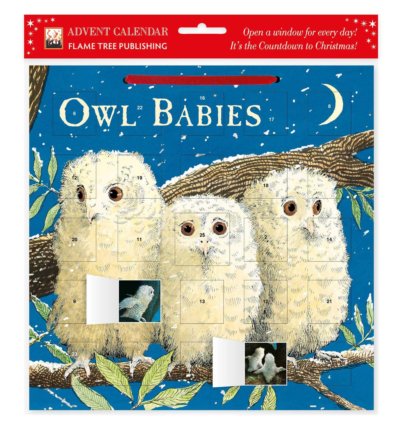 Calendar Advent - Owl Babies | Flame Tree Studio