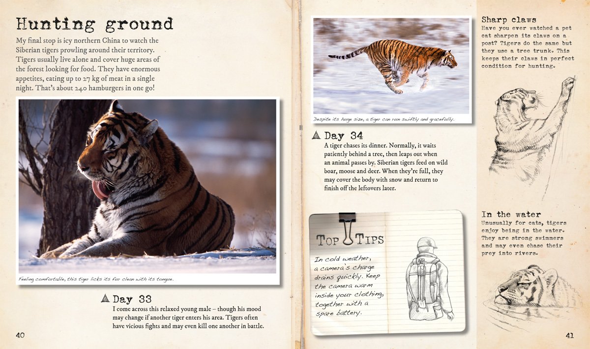 My Big Cats Journal | Steve Bloom - 2 | YEO