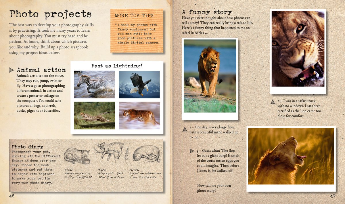 My Big Cats Journal | Steve Bloom - 1 | YEO