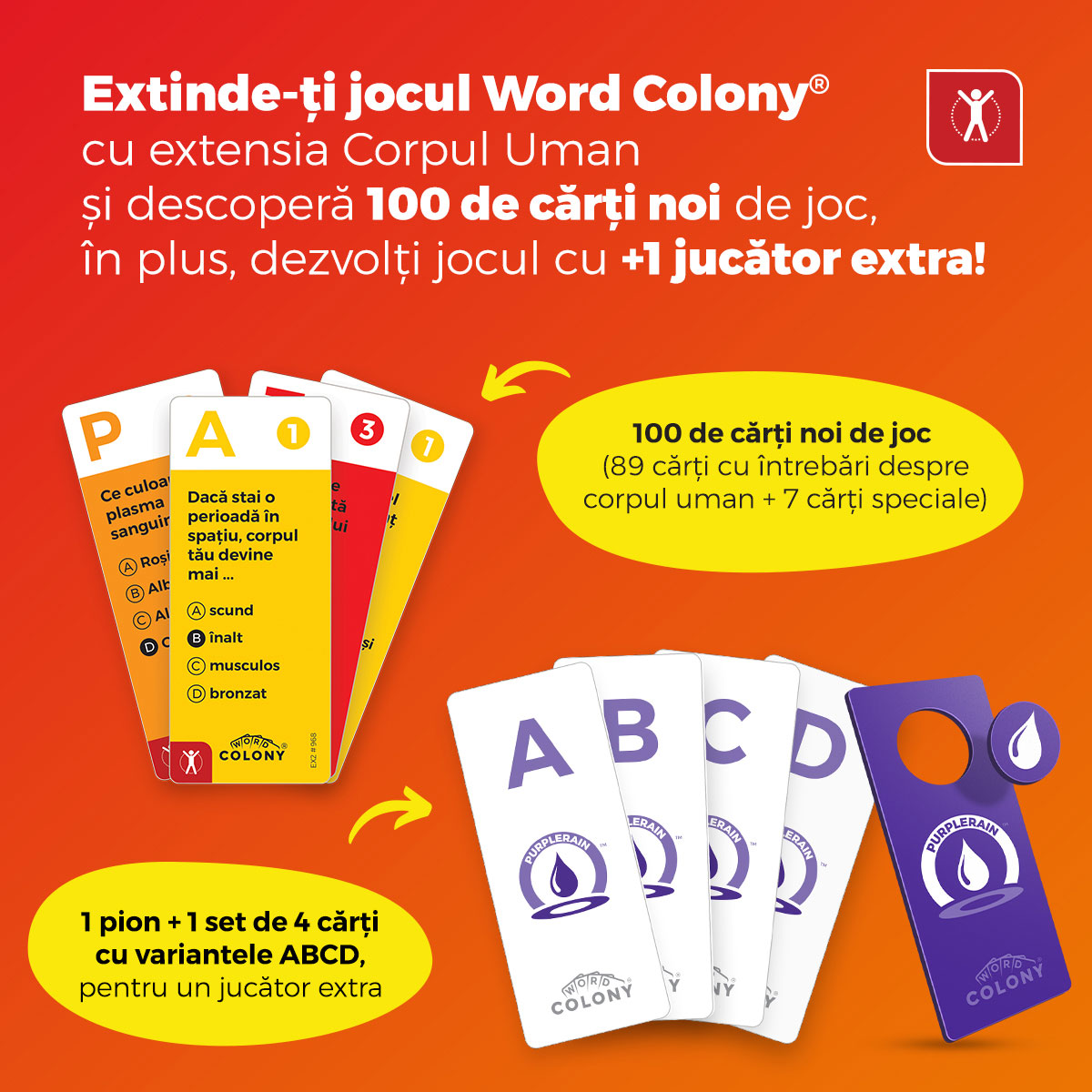 Extensie - Word Colony - Corpul uman | D-Toys - 1 | YEO