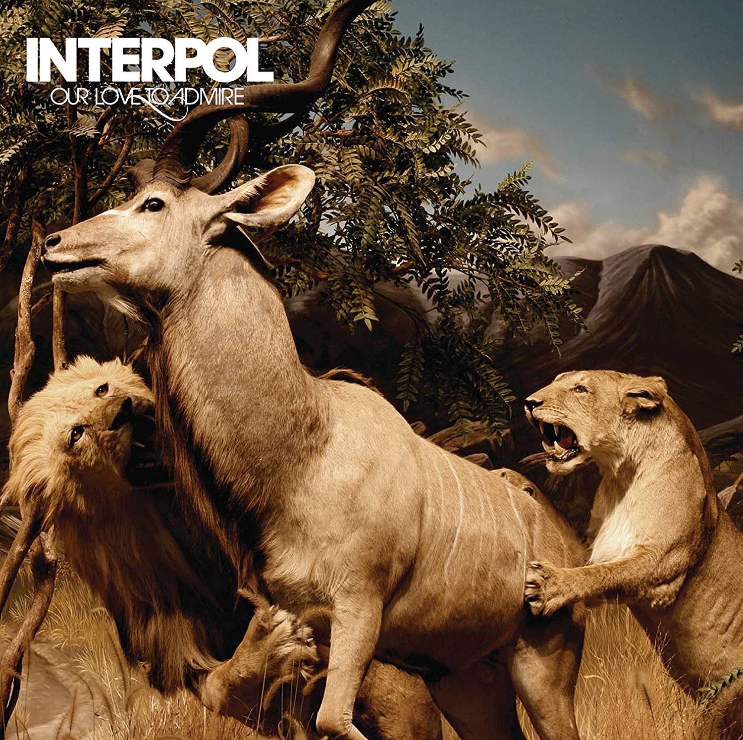 Our Love To Admire | Interpol