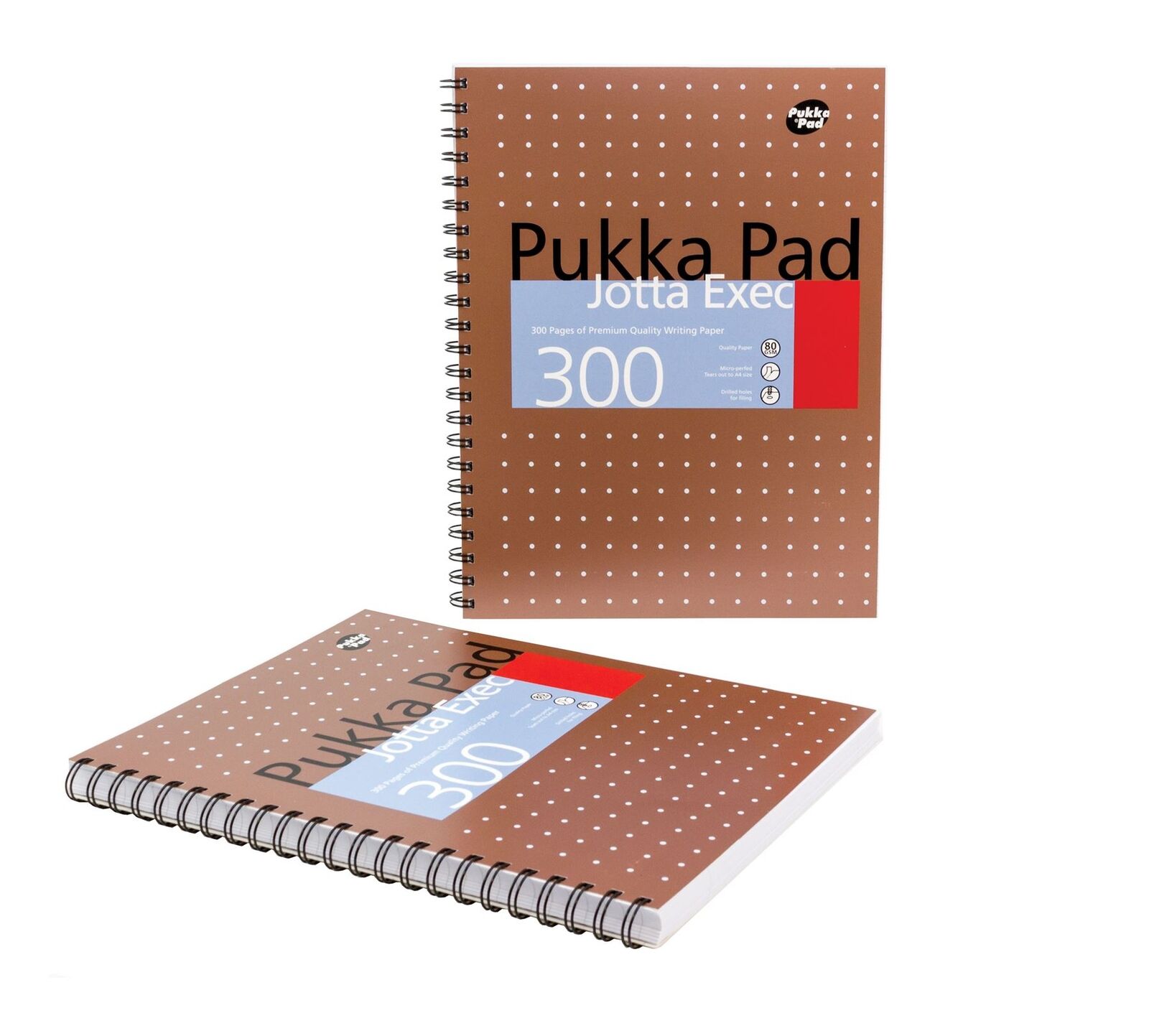 Caiet A4 cu spirala - Project Book - A4 - Dictando - Cupru | Pukka Pad