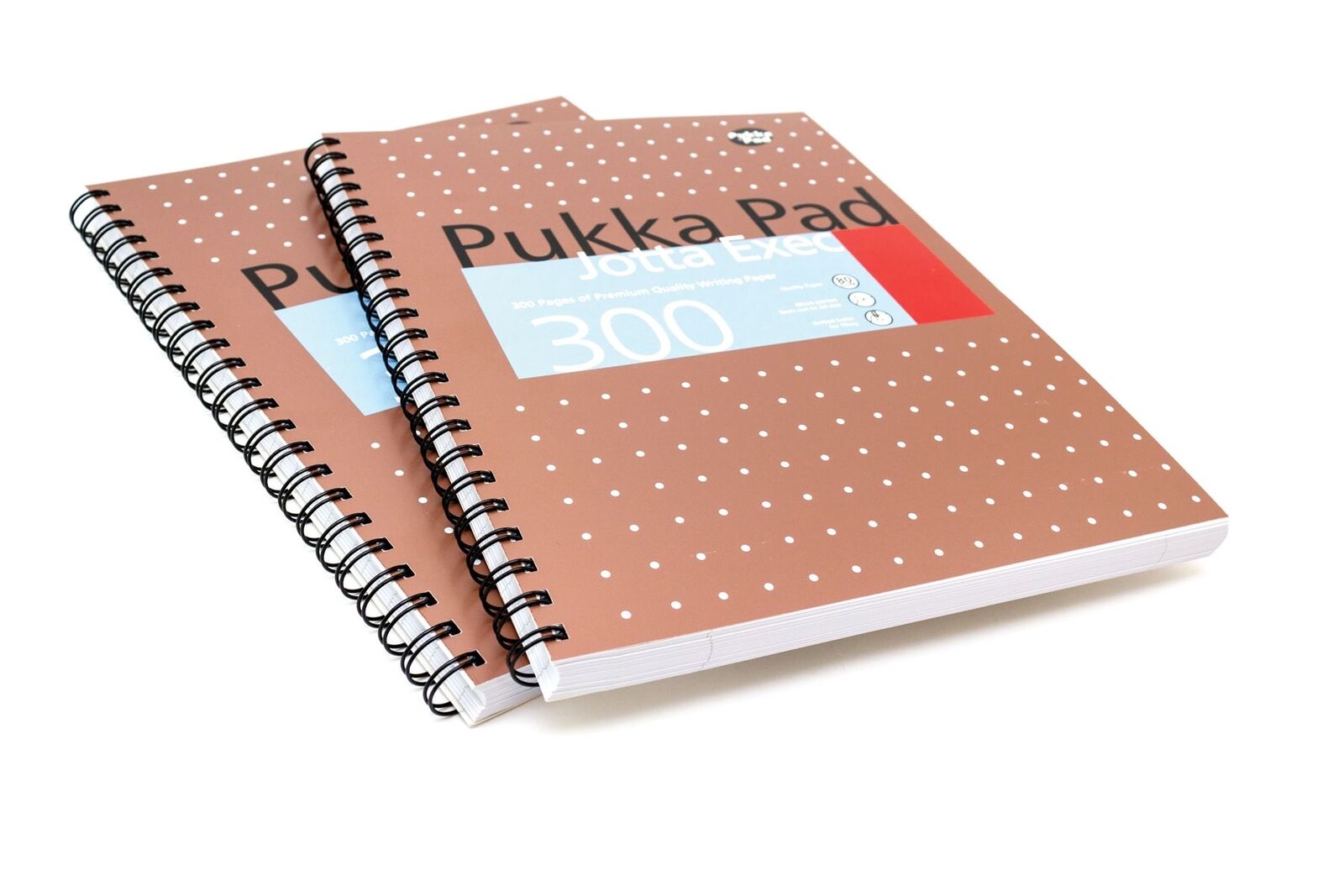 Caiet A4 cu spirala - Project Book - A4 - Dictando - Cupru | Pukka Pad - 1 | YEO