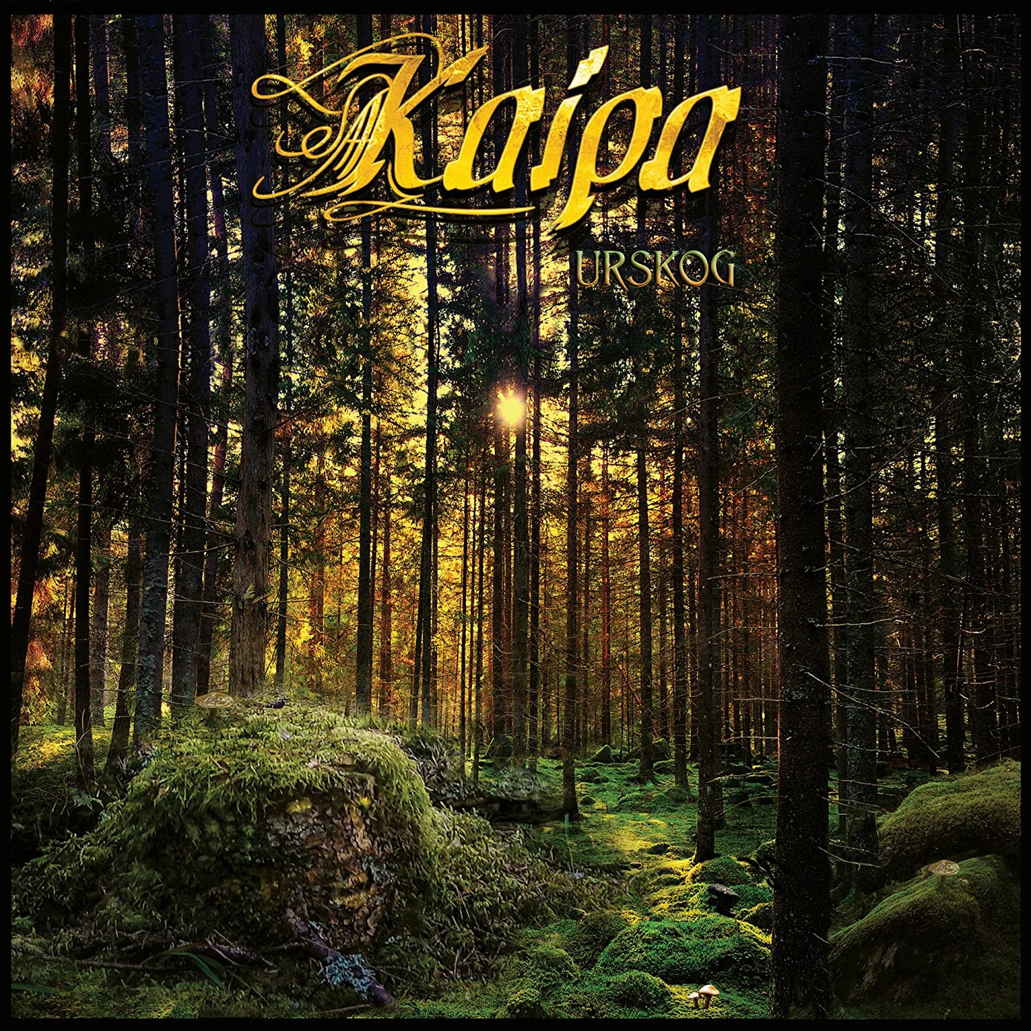 Urskog | Kaipa