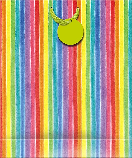 Punga cadou - Rainbow Stripes | Great British Card Company
